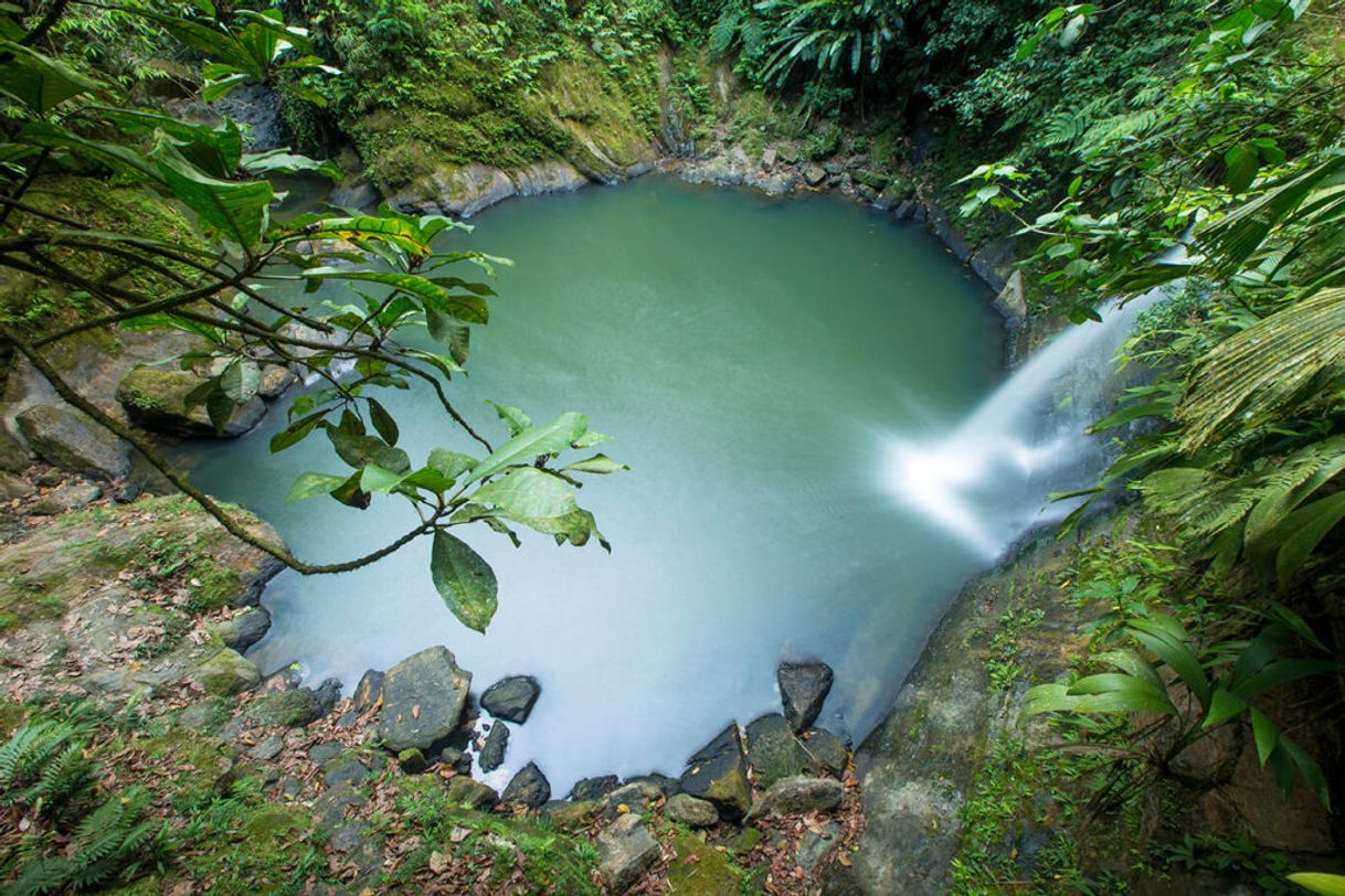 Lugar Cascada de Carpishuyacu