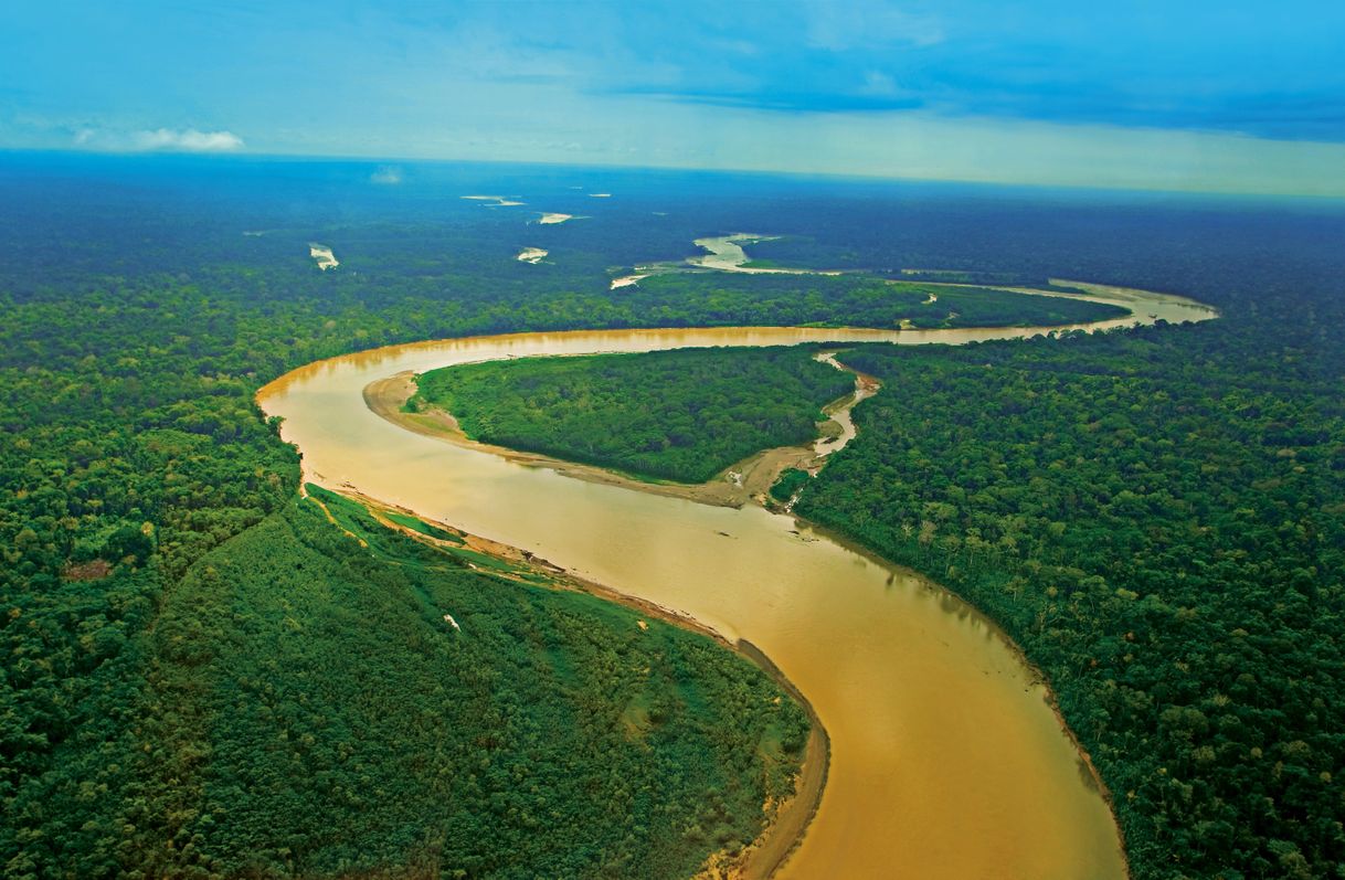 Lugar Parque Nacional del Manu