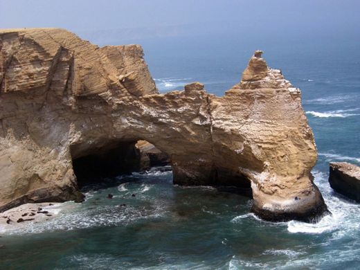 Reserva Nacional de Paracas