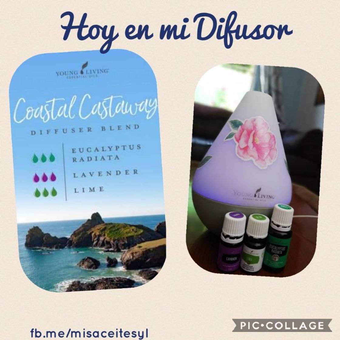 Products Mezcla para Difusor