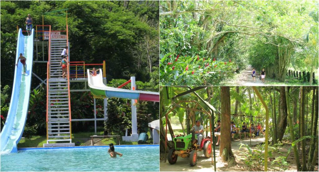 Place Parque Ecológico Infantil San Ignacio