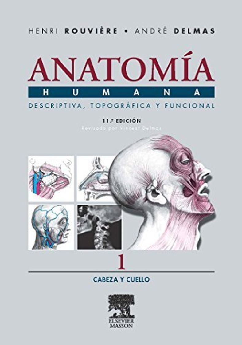 Libros Anatomia Humana Descriptiva, topografica y funcional. Tomo 1. Cabeza y cuello