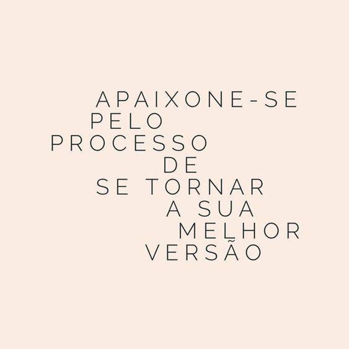 Fashion Frase