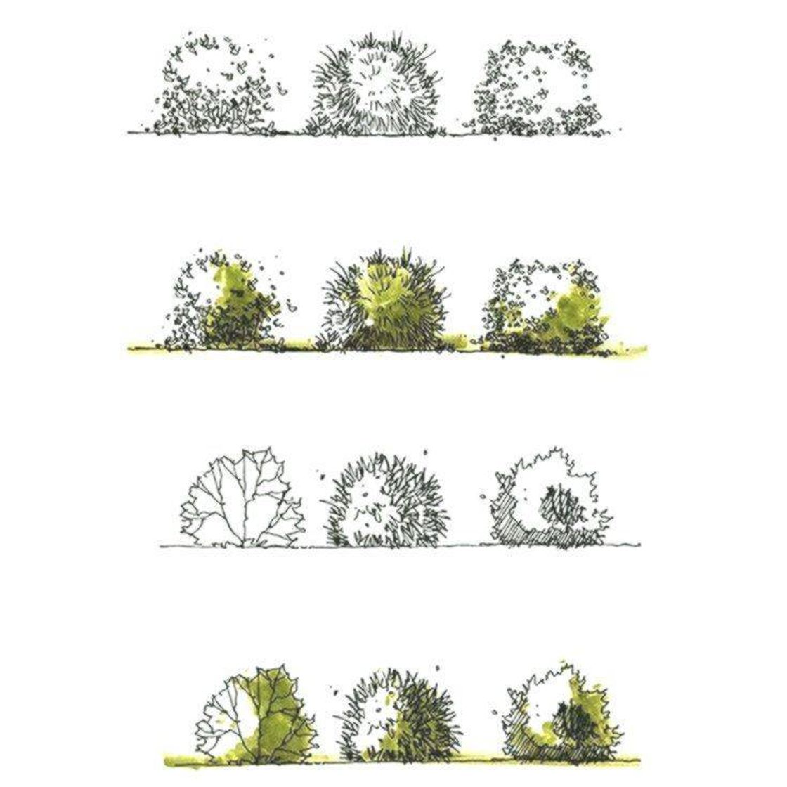 BOCETOS ARQUITECTONICOS 