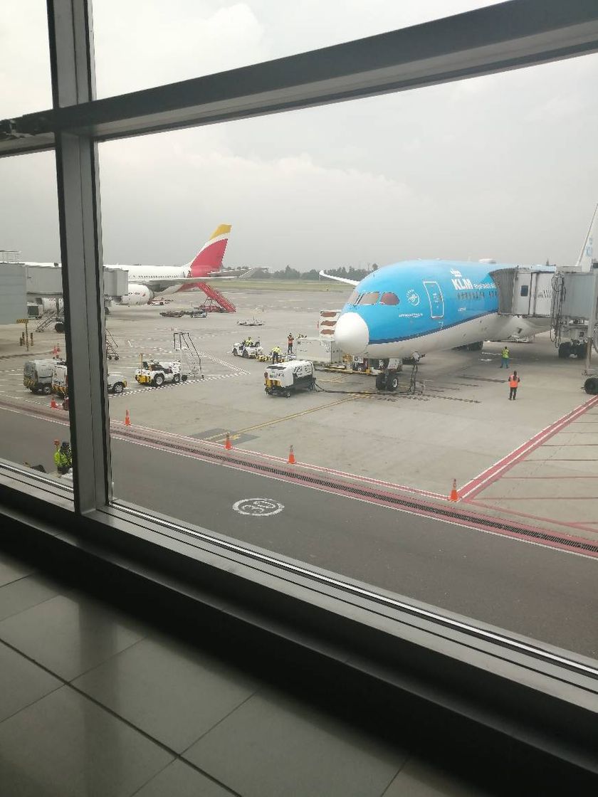 Lugar Punta Cana International Airport