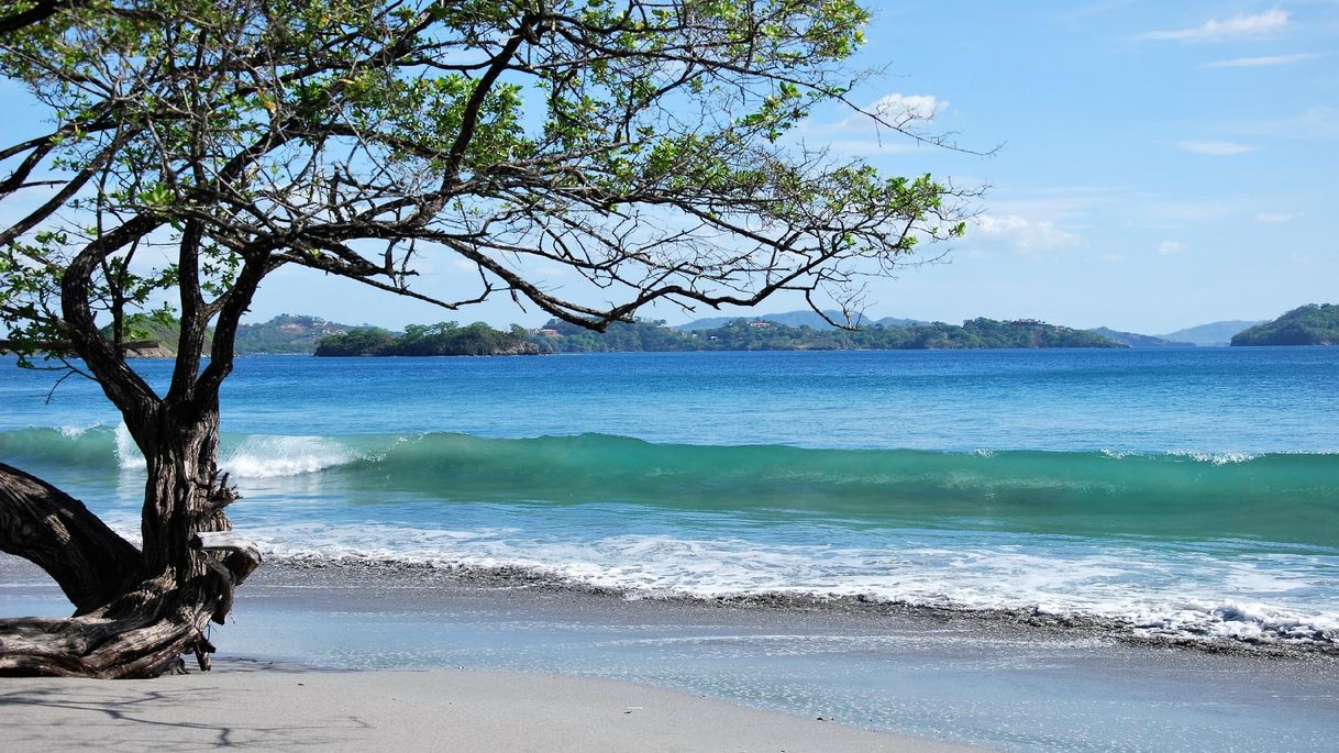 Place Playa Flamingo