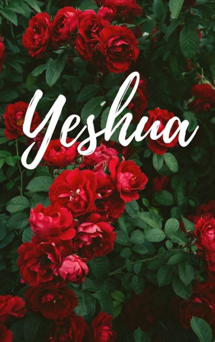 Moda Yeshua Rosas 