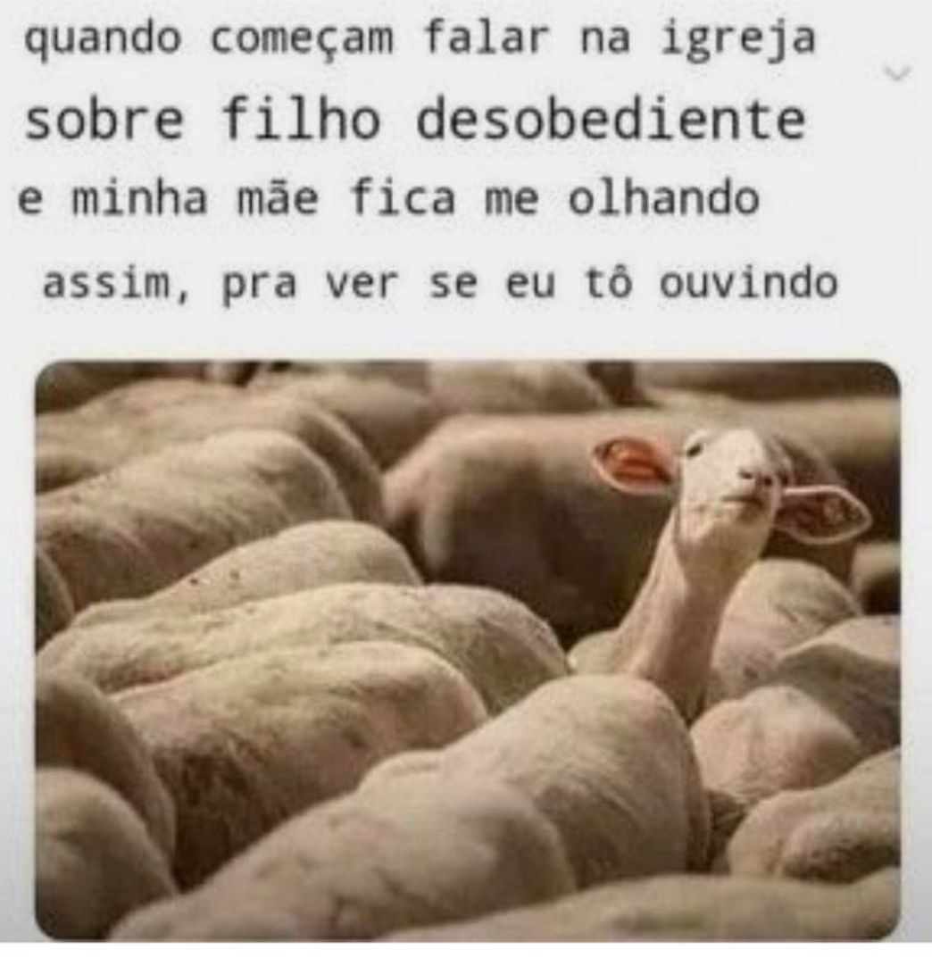 Moda Filho desobediente 