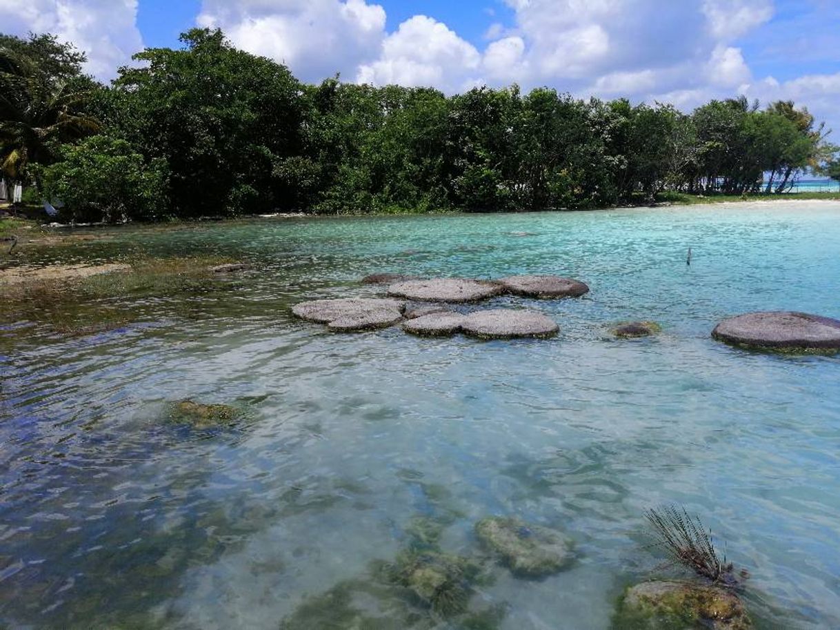 Lugar Yucatán