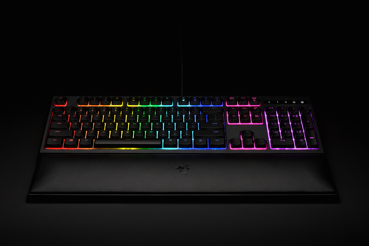 Social Razer Ornata Chroma