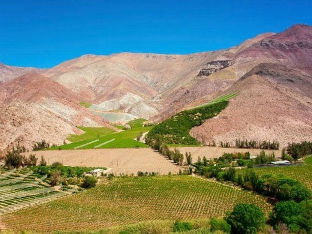 Lugar Valle del Elqui, Chile