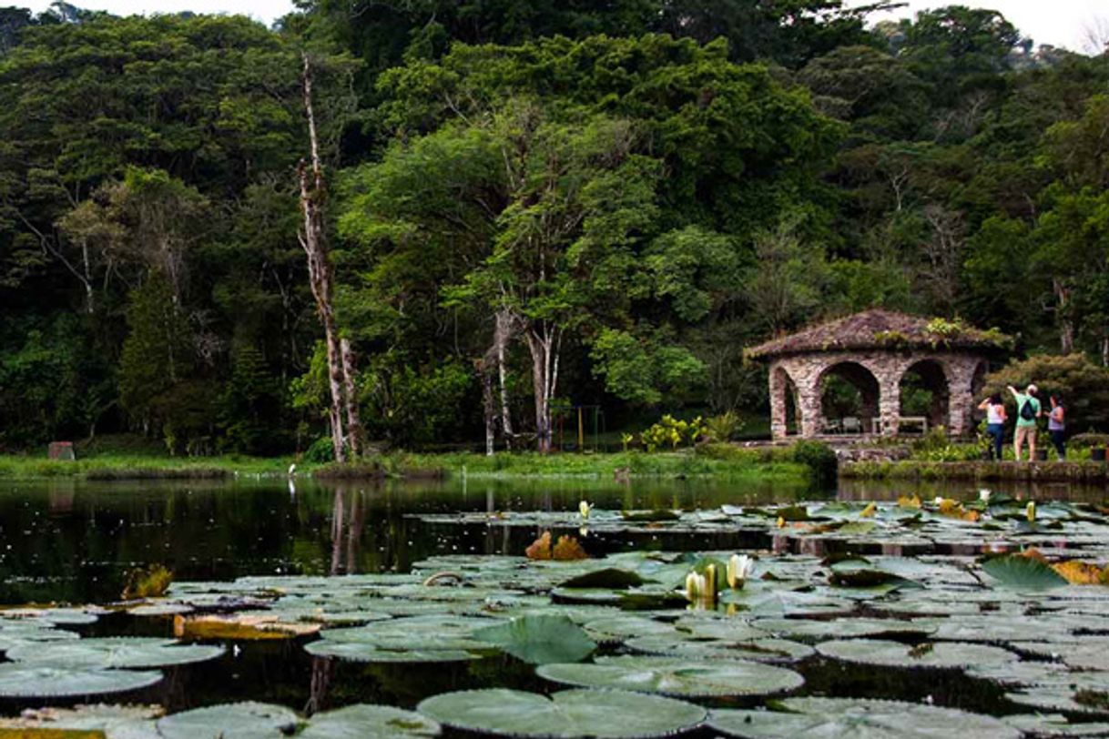 Lugar Selva Negra