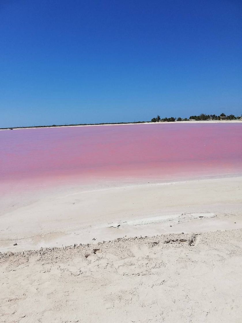 Lugar Las Coloradas Yucatan