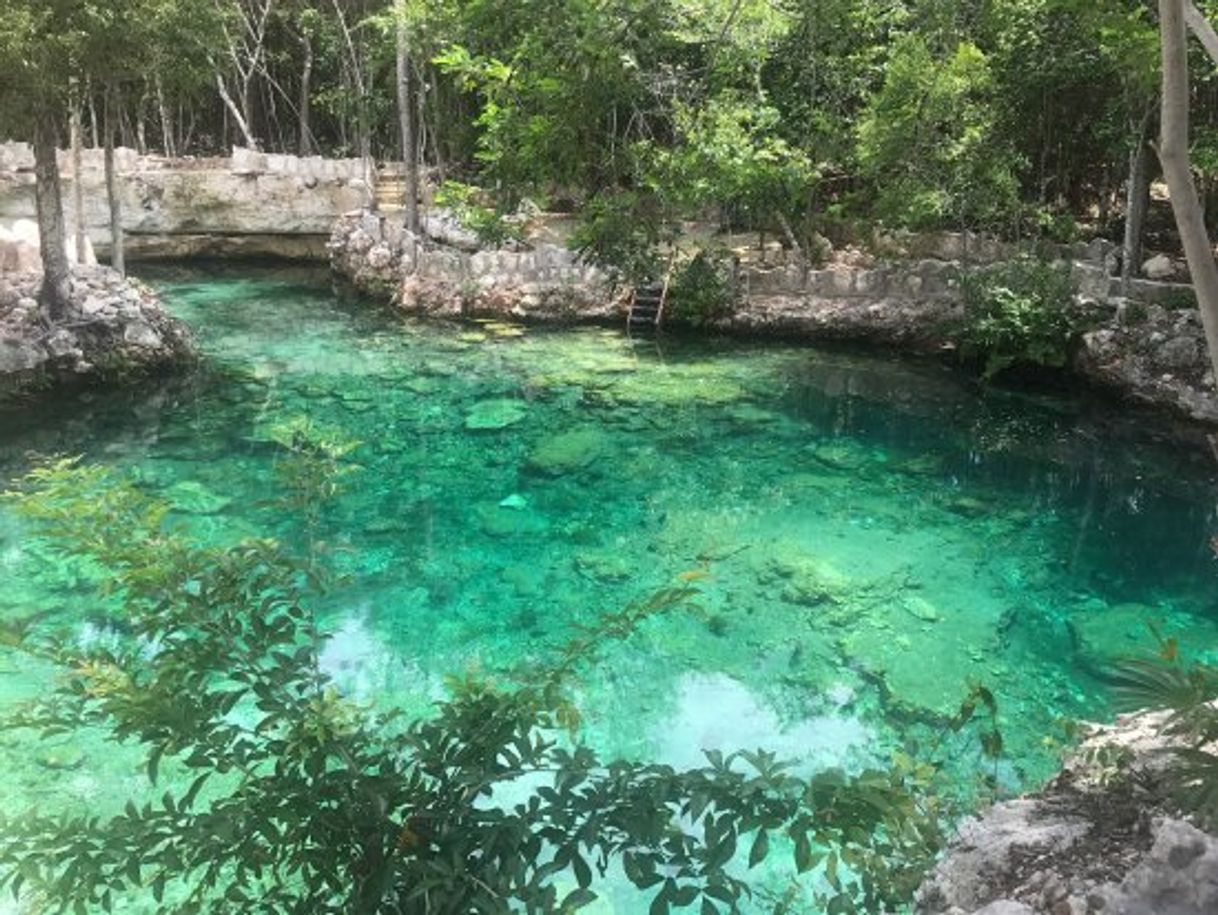 Place Cenote Tortuga