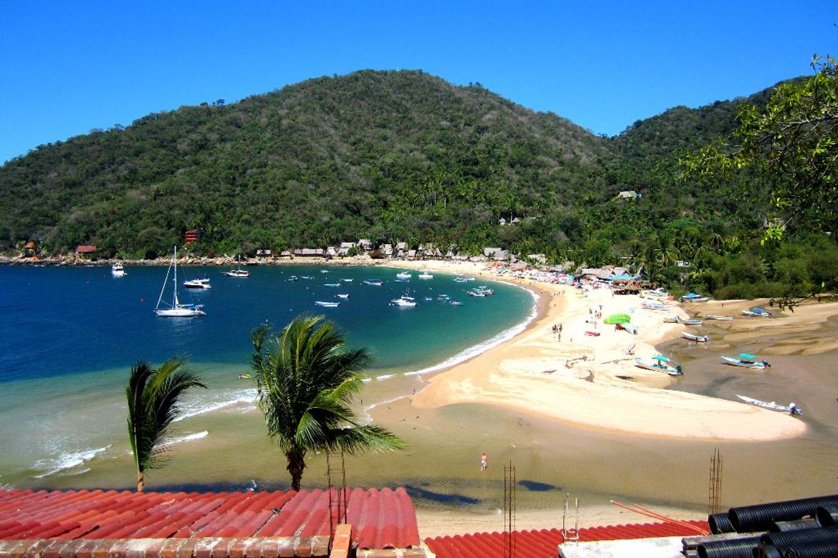 Lugar Puerto Vallarta