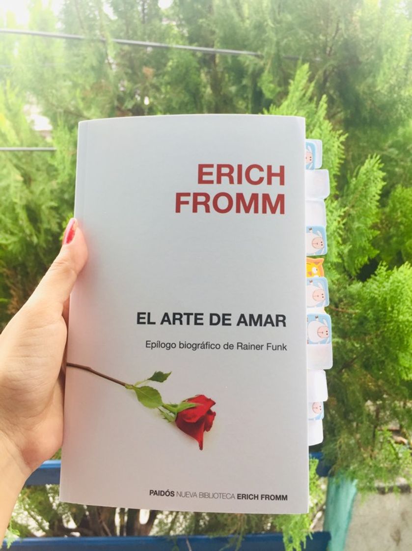 Book El arte de amar: Epílogo biográfico de Rainer Funk