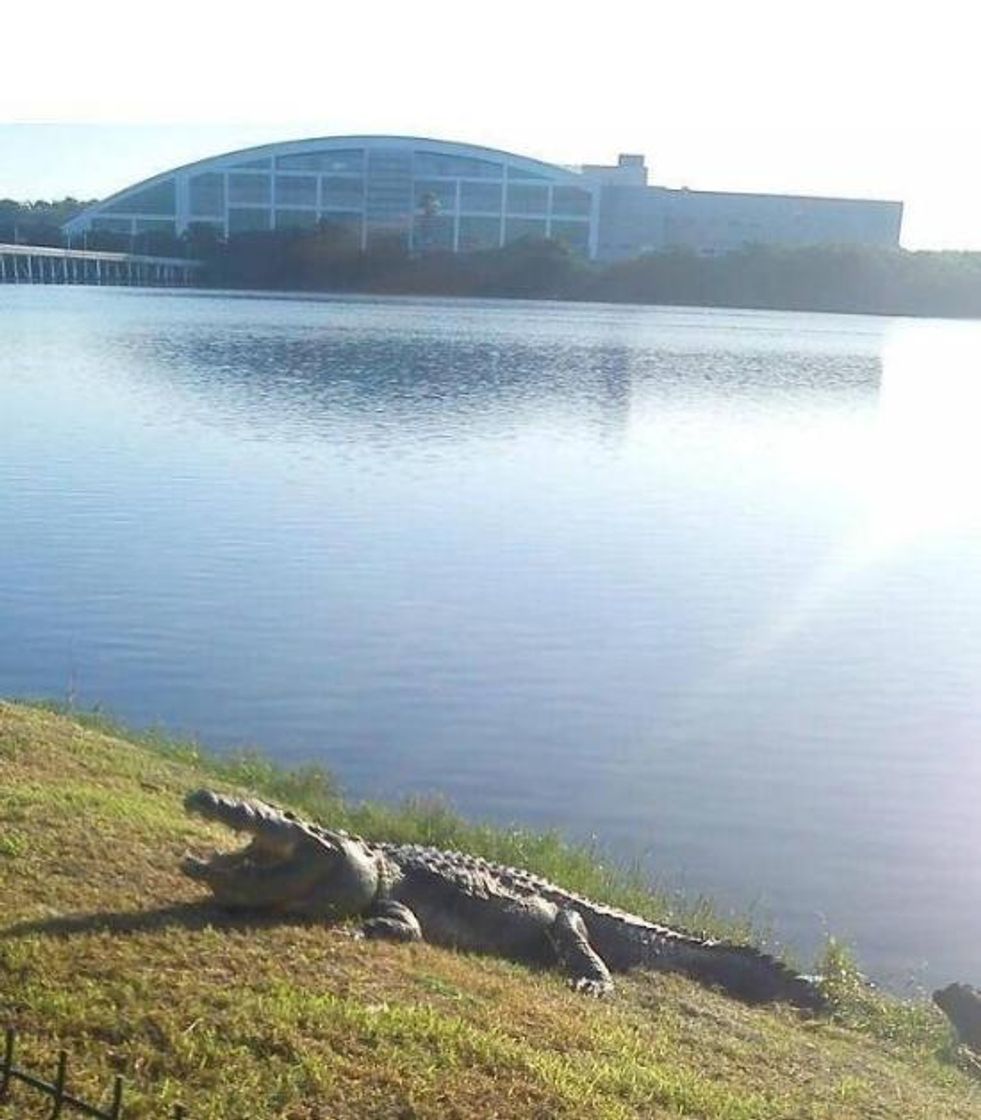 Lugar Laguna del Carpintero