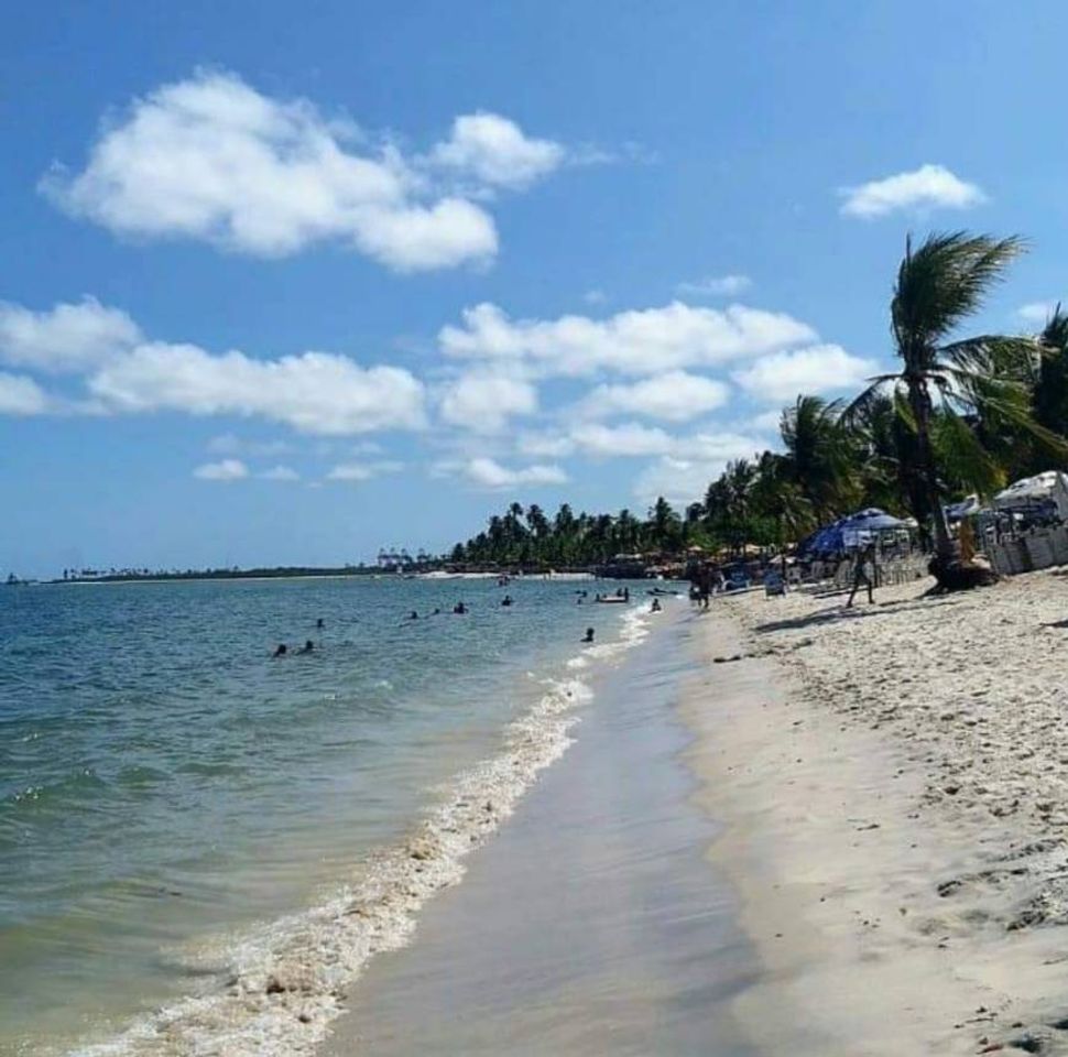 Paraísos do nordeste!🌵🌴☀️