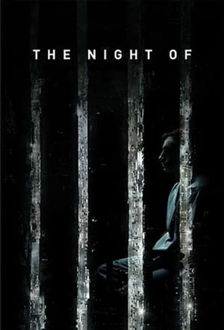 Serie The Night Of