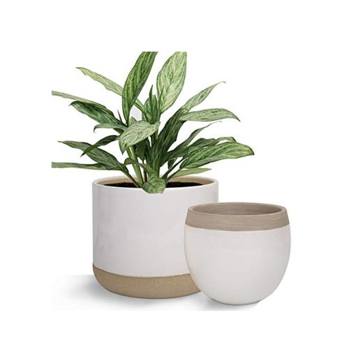 Macetas de cerámica blanca para plantas – 6.5 pulgadas Pack 2 macetas