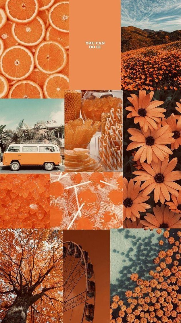 Moda WALLPAPER laranja