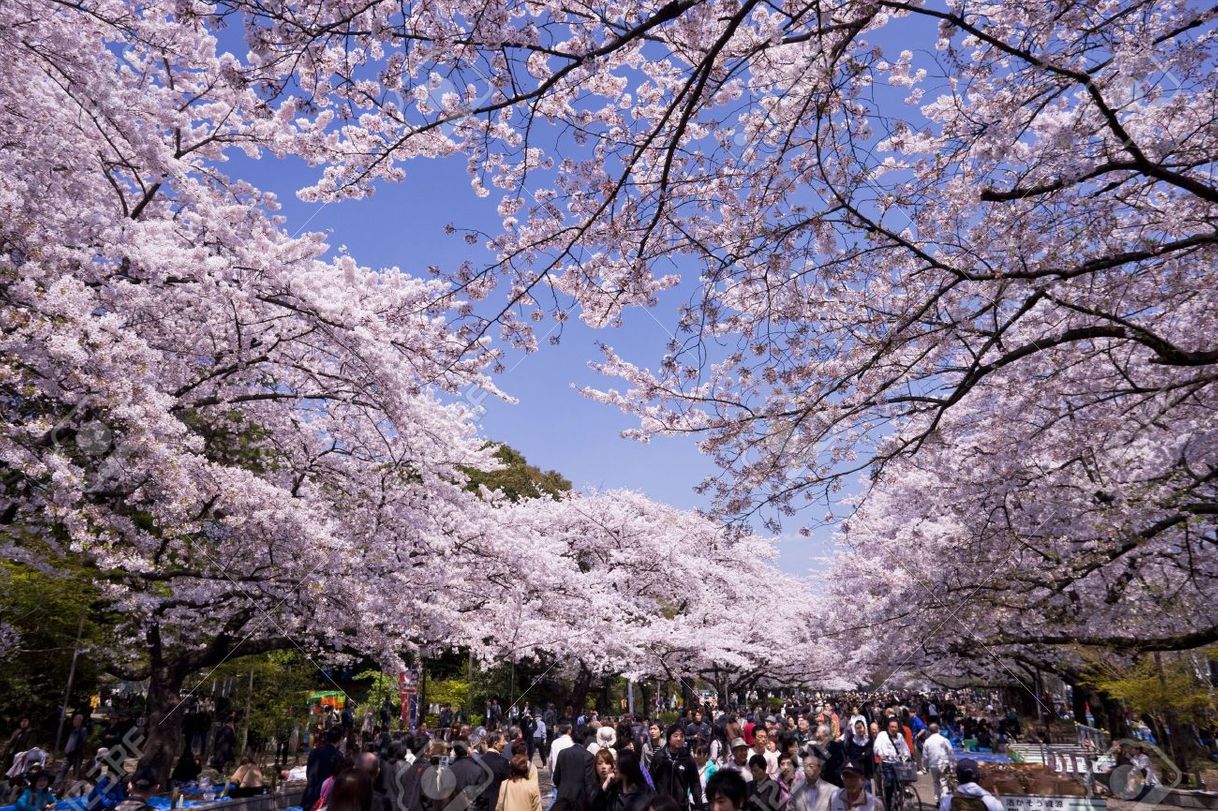 Place Ueno-Park