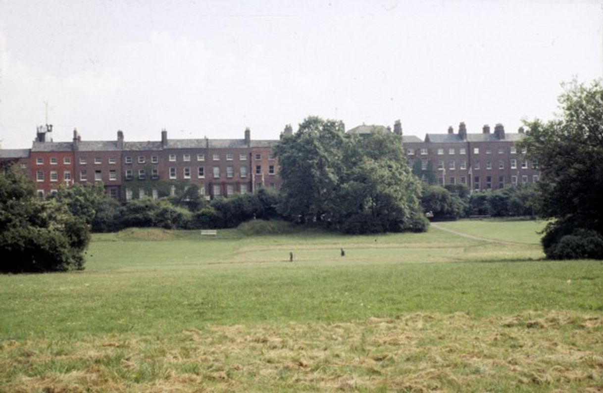 Place Merrion Square