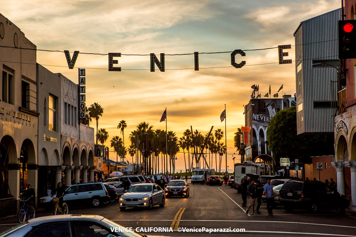 Place Venice