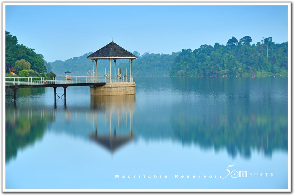 Place MacRitchie Reservoir