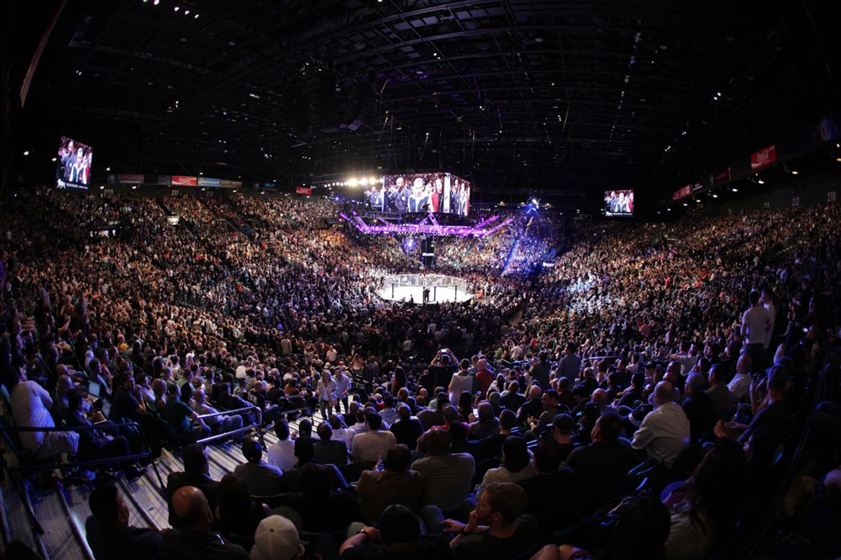 Place MGM Grand Garden Arena