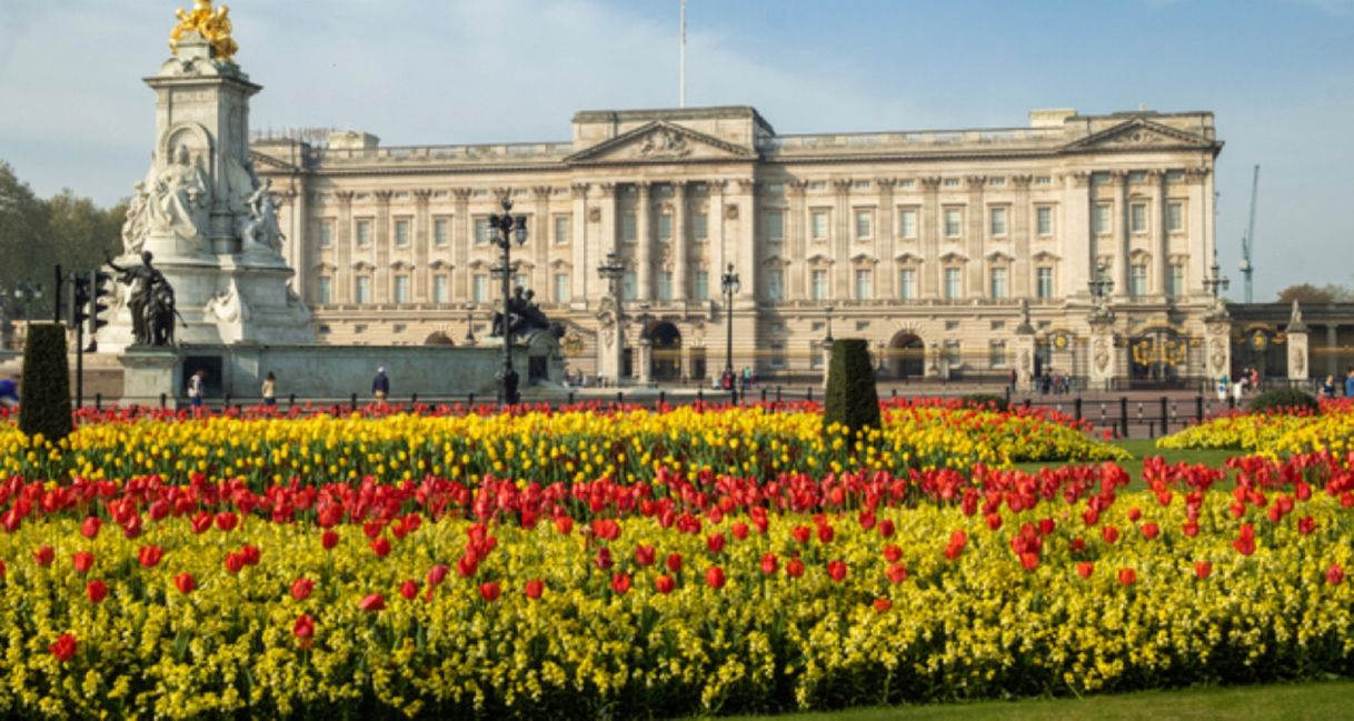 Place Buckingham Palace