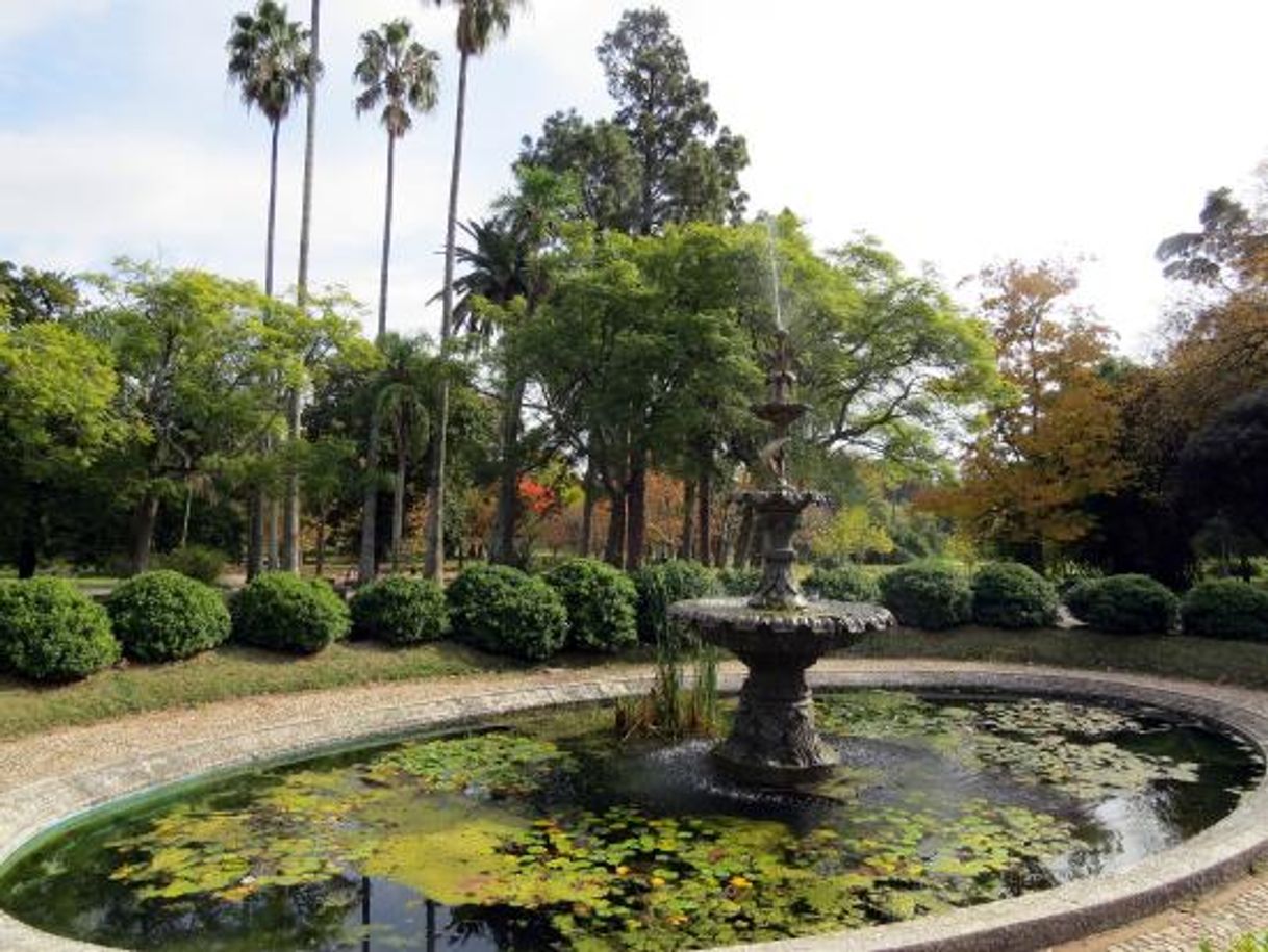 Lugar JARDÍN BOTÁNICO MONTEVIDEO URUGUAY