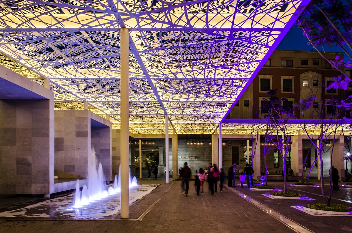 Places Jardín de las jacarandas