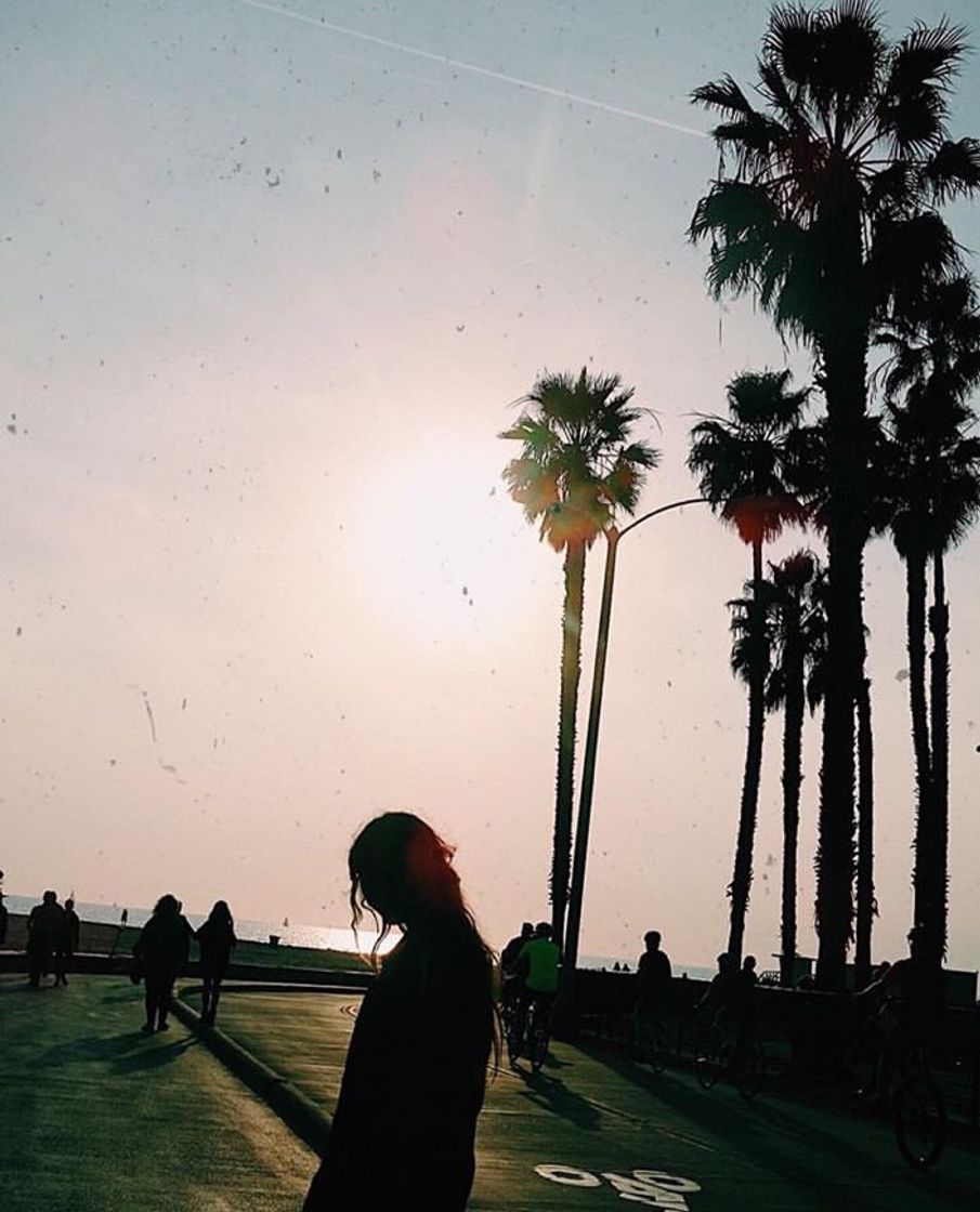 Lugar Venice Beach