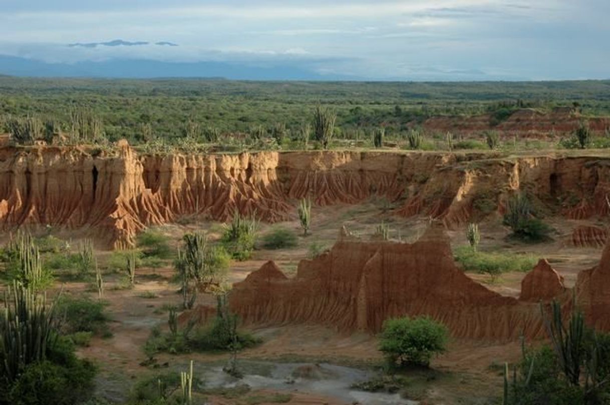 Place Desierto de la Tatacoa