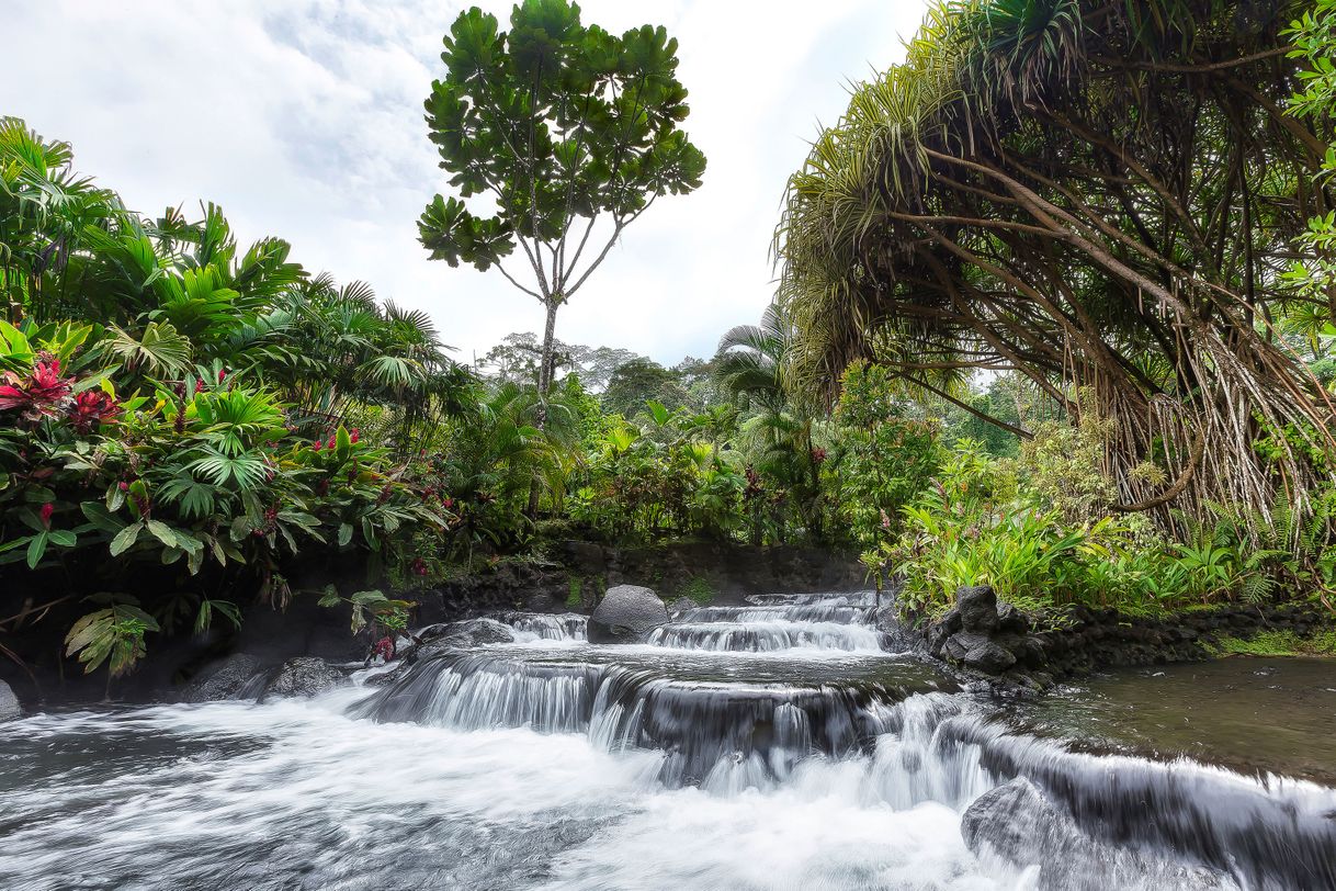 Lugar Tabacon Thermal Resort & Spa