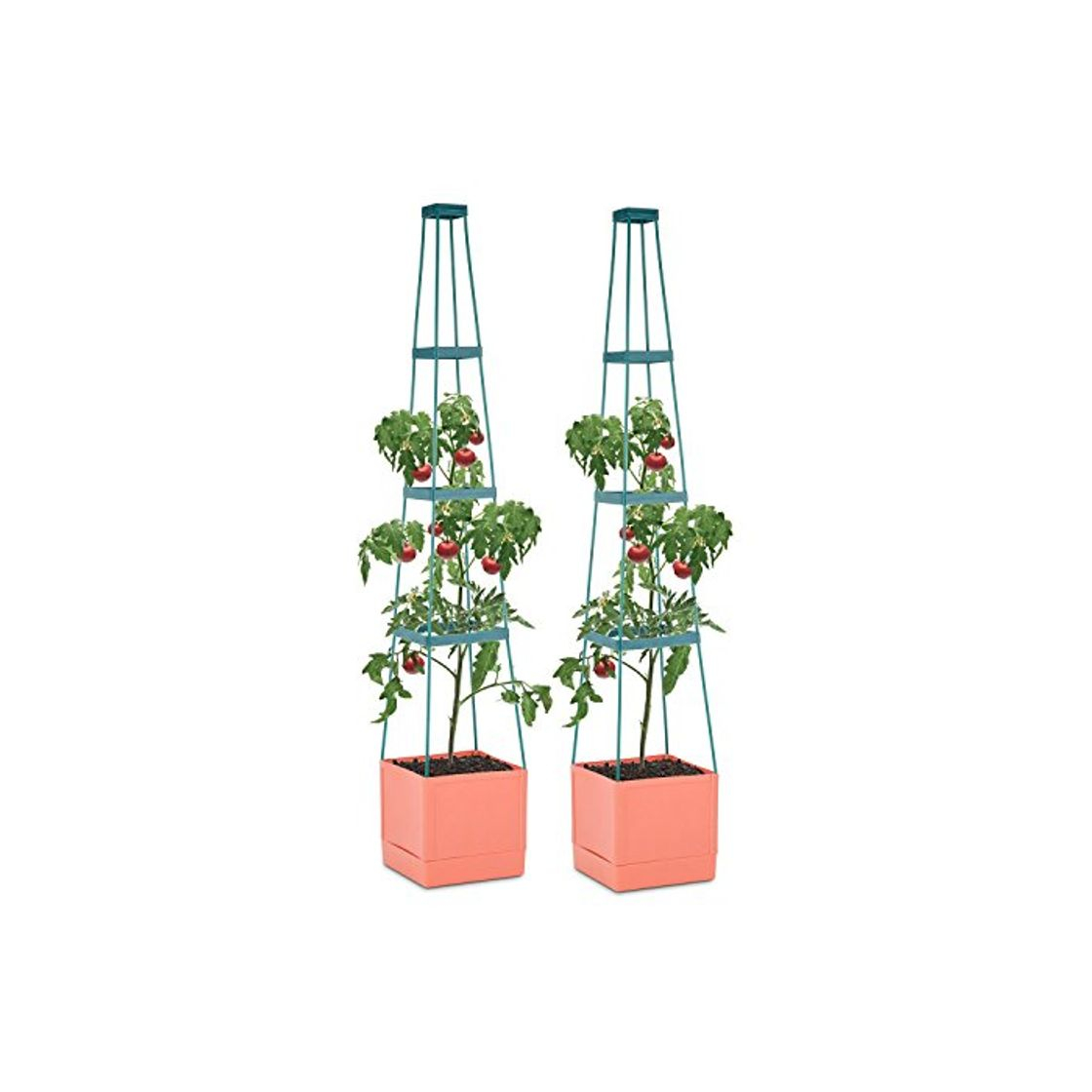 Products Waldbeck Tomato Tower Set 2 Macetas para tomate con tutor