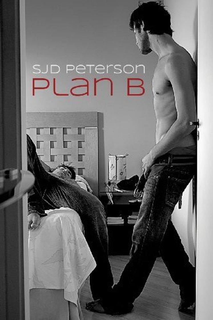 Book Plan B by Sjd Peterson