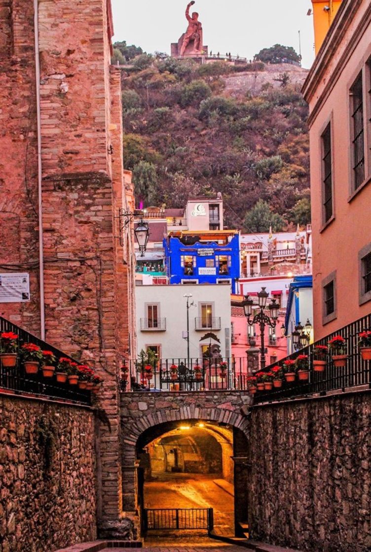 Place Guanajuato