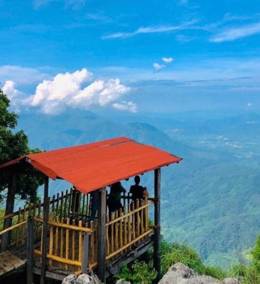 Restaurantes Colima