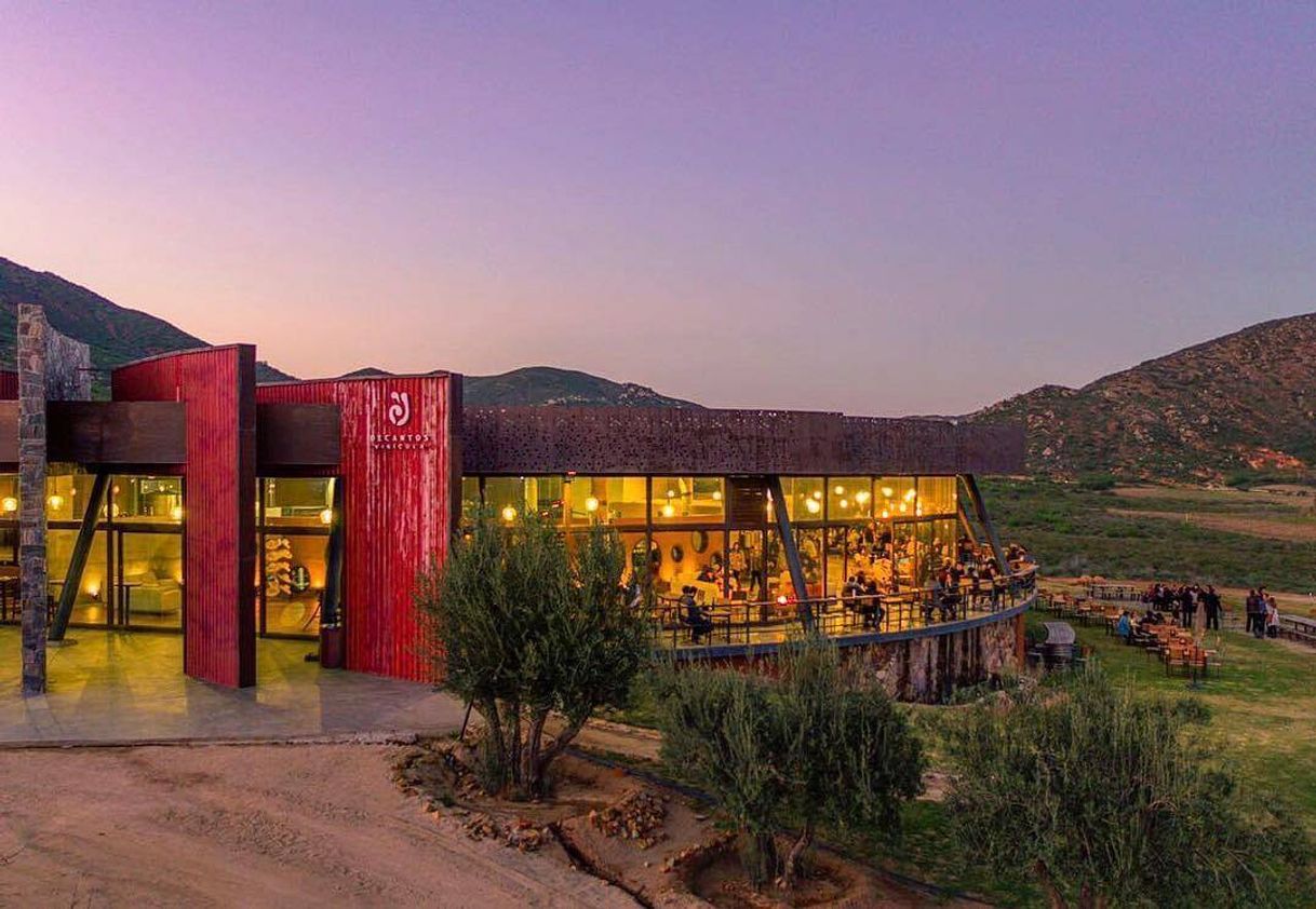 Fashion Decantos, Valle de Guadalupe 