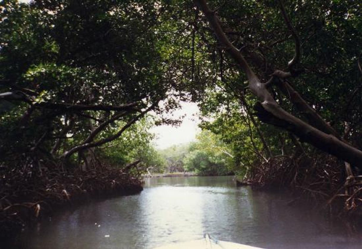 Place Laguna La Restinga