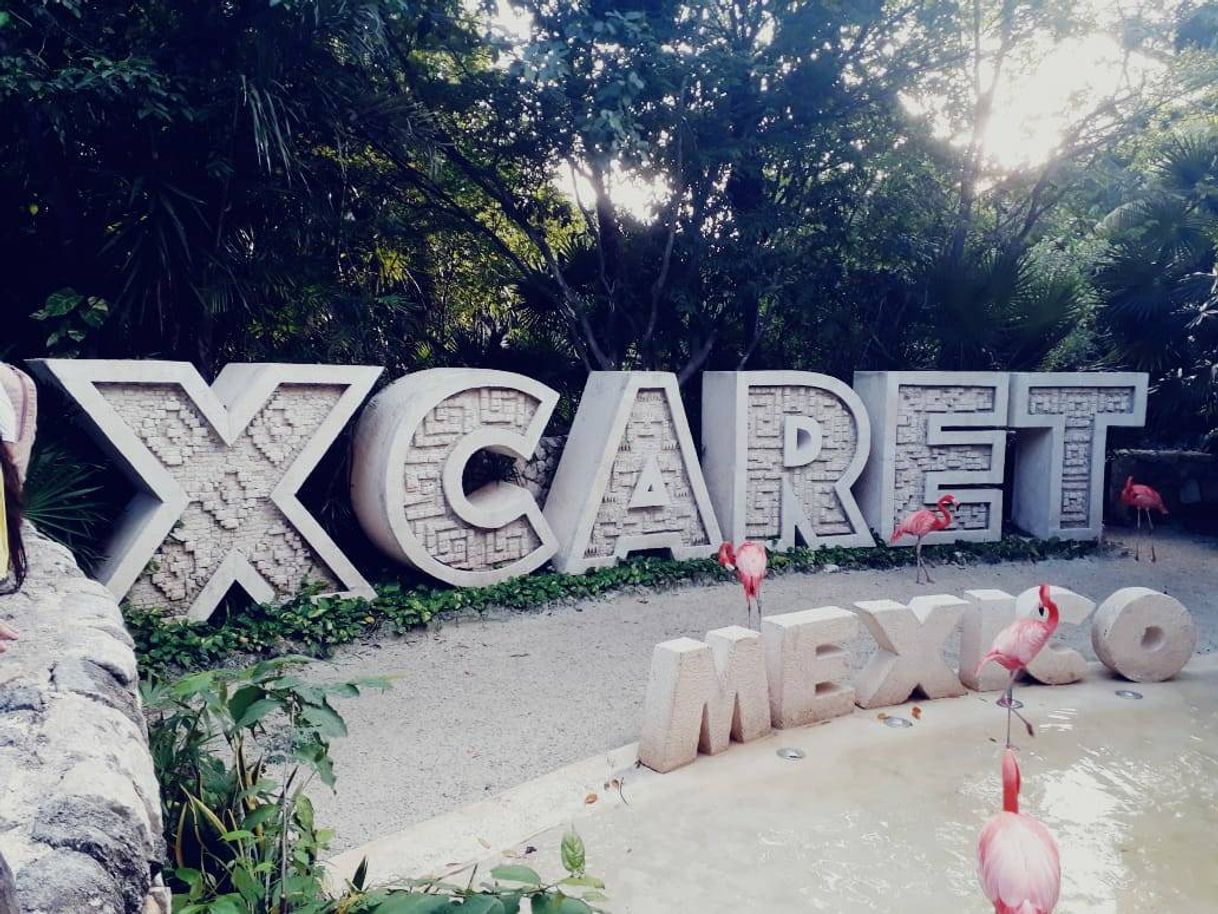 Place XCARET