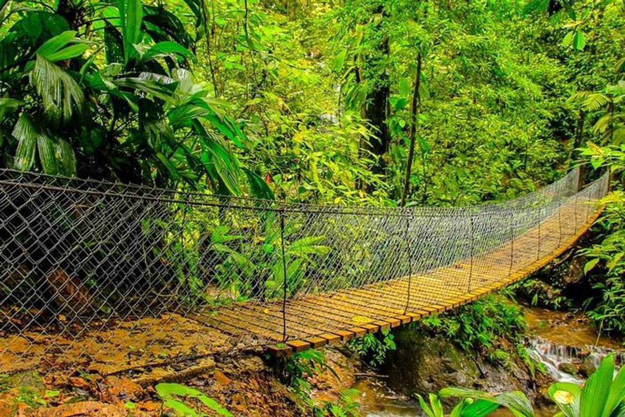 Place Parque Nacional Cerro Azul Meámbar