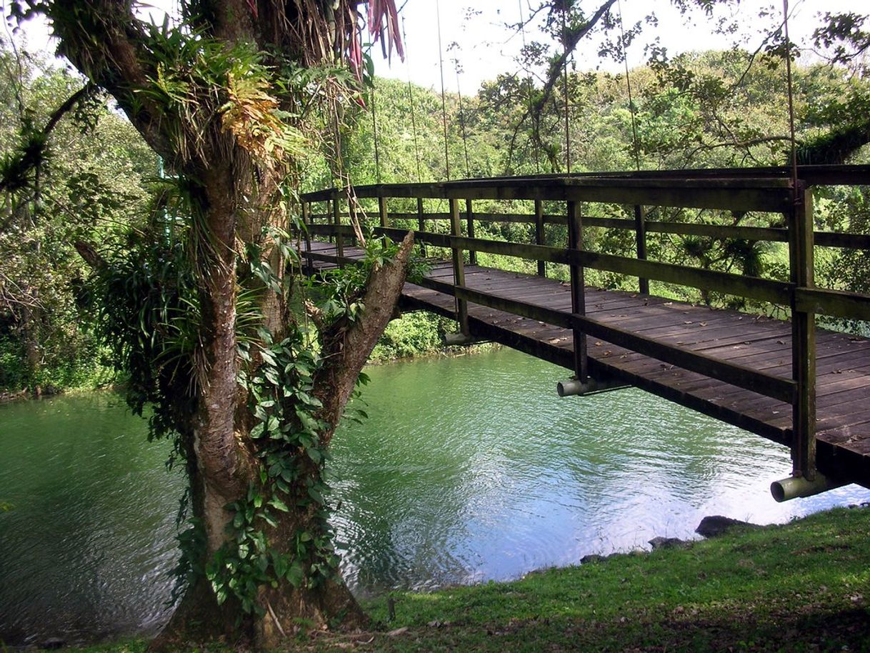 Lugares Los Naranjos