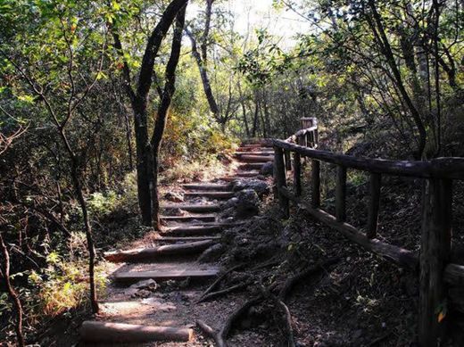 Cerro de Chipinque