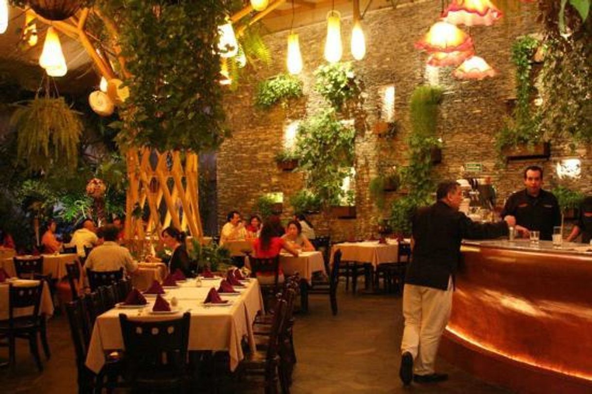 Restaurantes La Pasta, Guadalajara