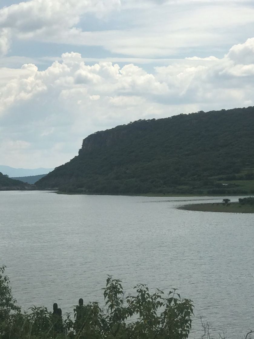 Lugar Presa de la Codorniz