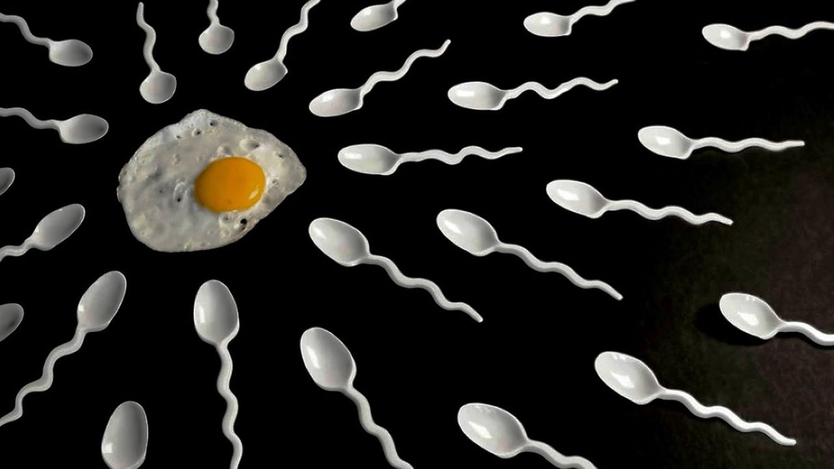 Social 7 cosas que no sabes del semen. 