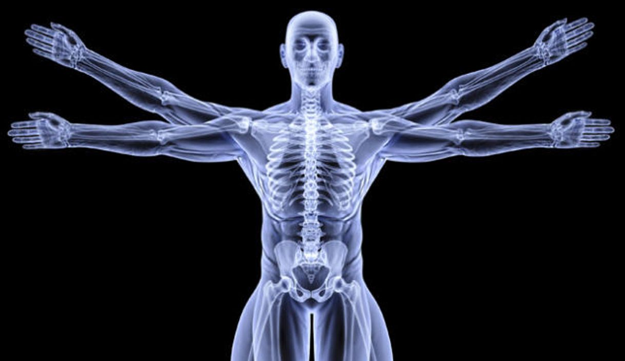 Social Las curiosidades más fascinantes sobre el cuerpo humano 